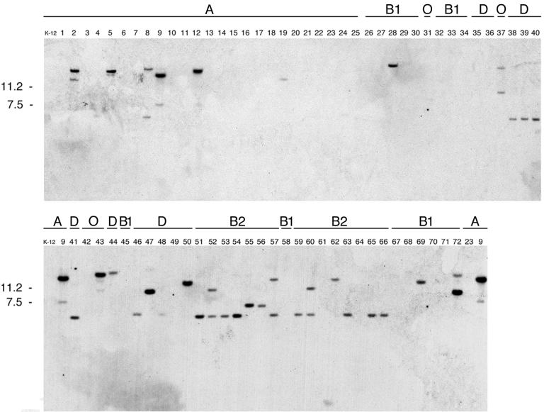 FIG. 5.