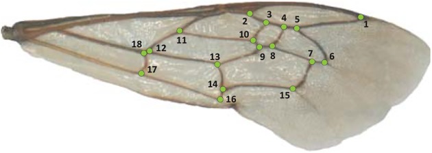 Fig 2