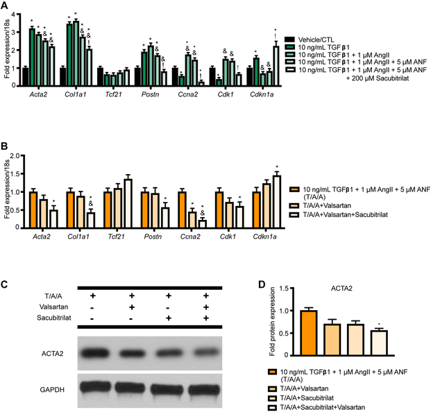 Figure 5: