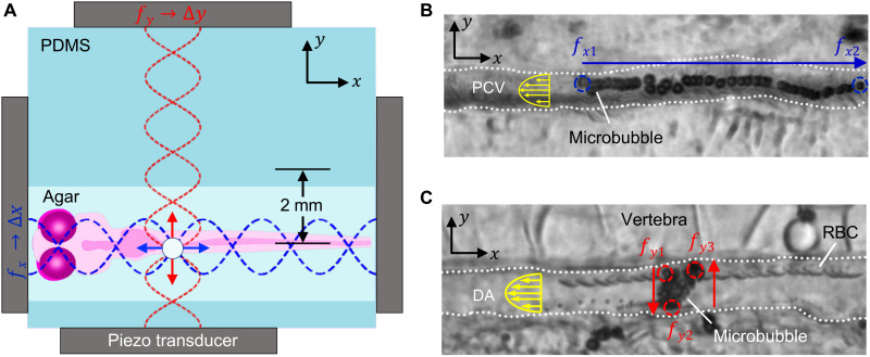 Fig. 3.