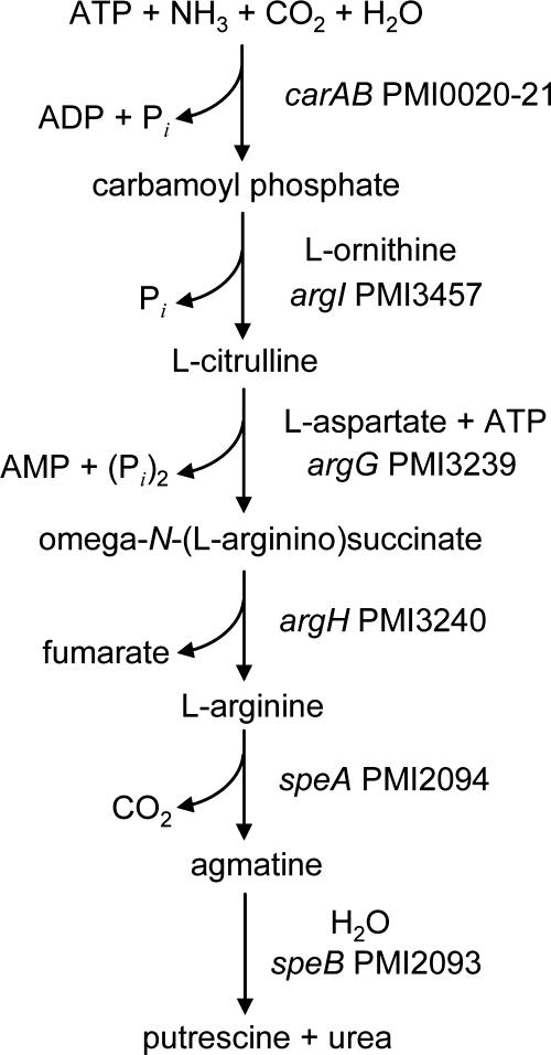 FIG. 6.