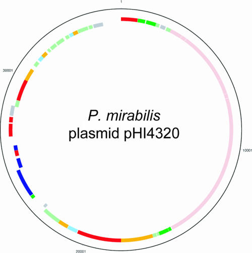 FIG. 2.