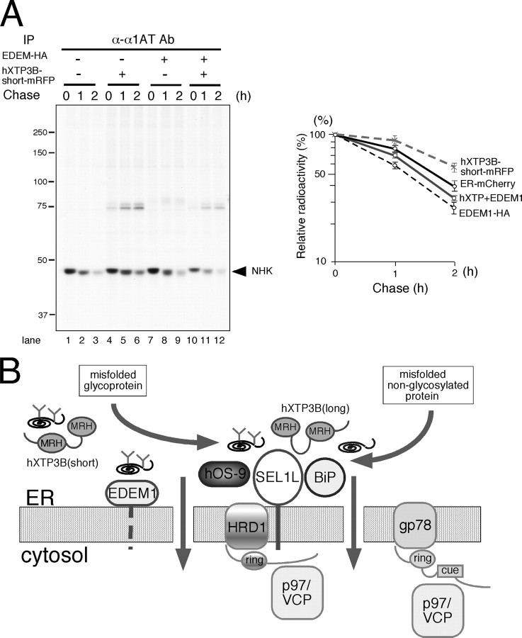 FIGURE 11.