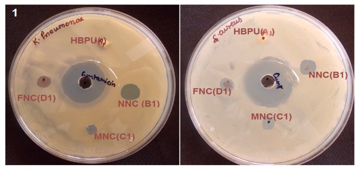 Figure 14