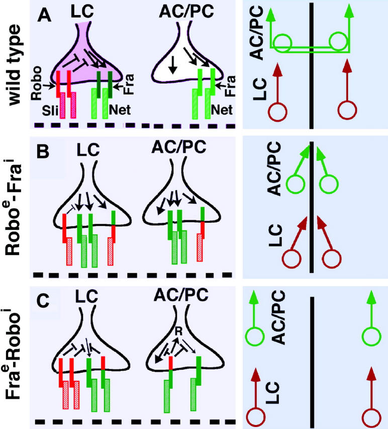 Figure 7.—