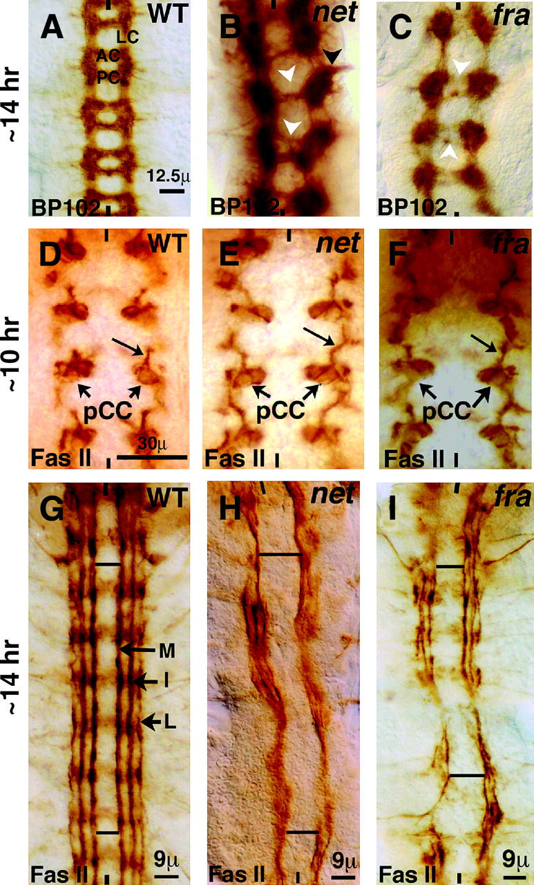 Figure 1.—