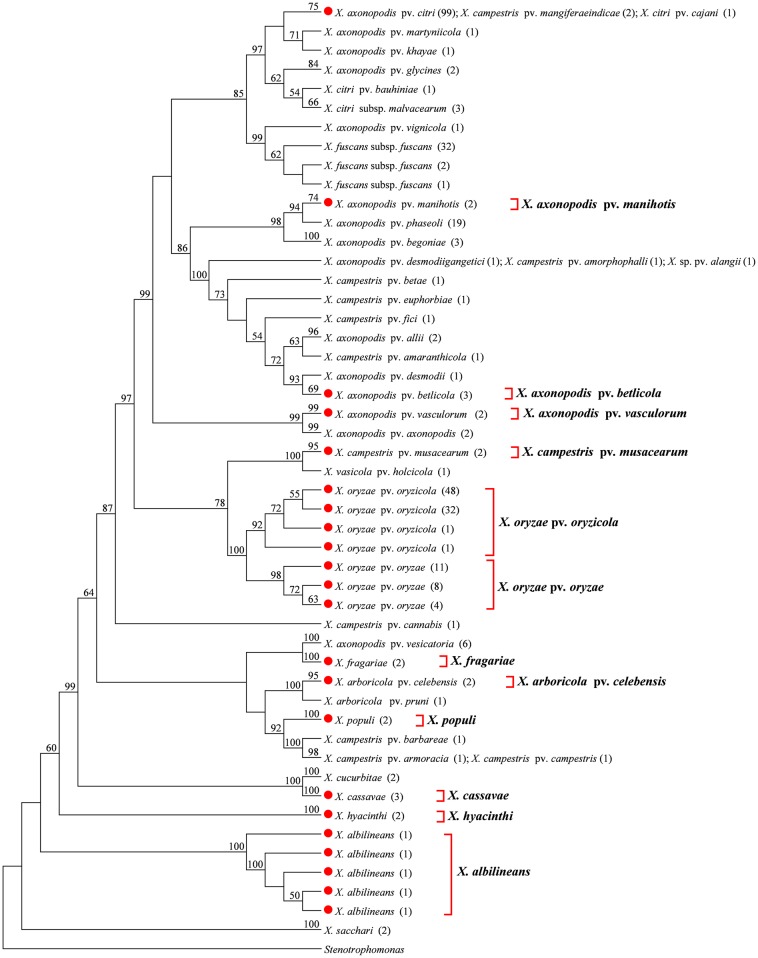 Fig 2