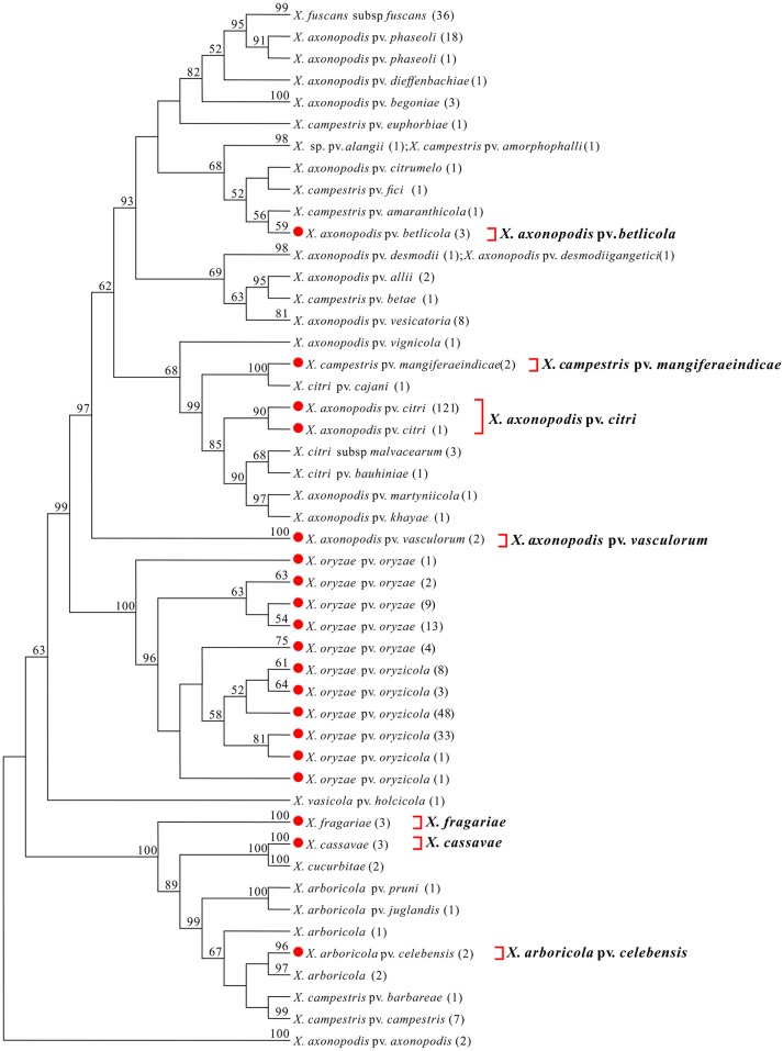 Fig 3