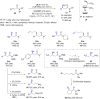 Scheme 21