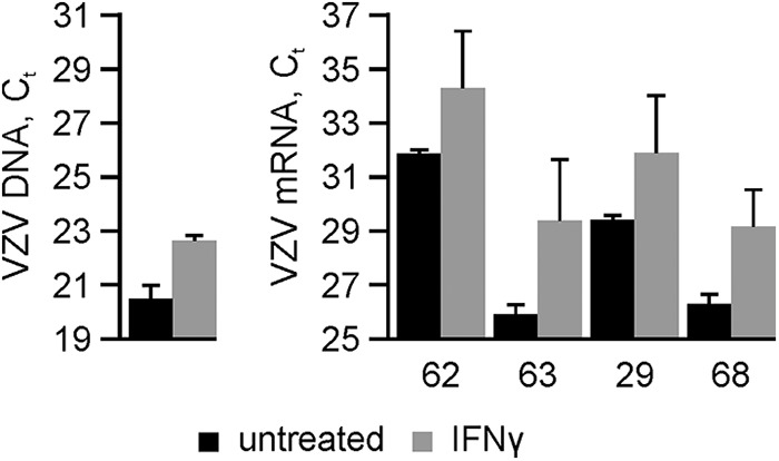 FIG 3