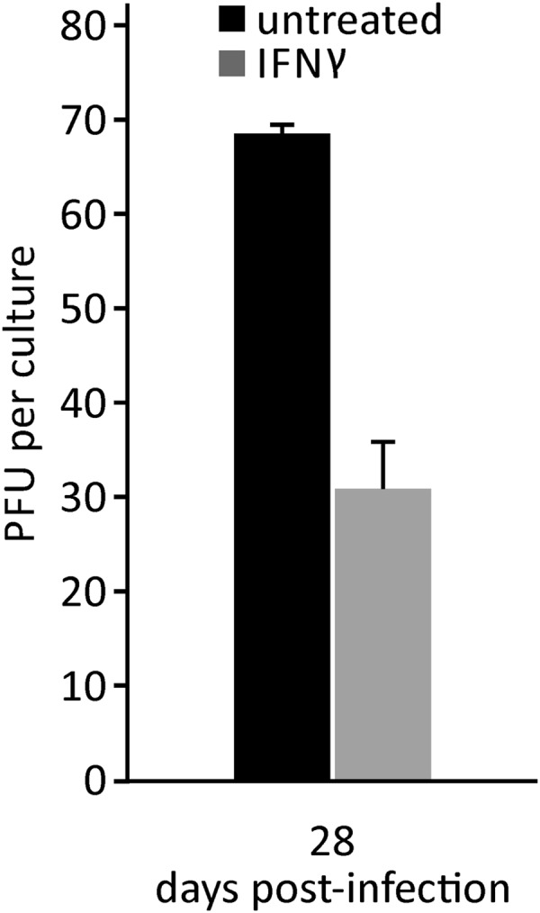 FIG 4