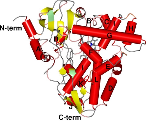 FIGURE 3.