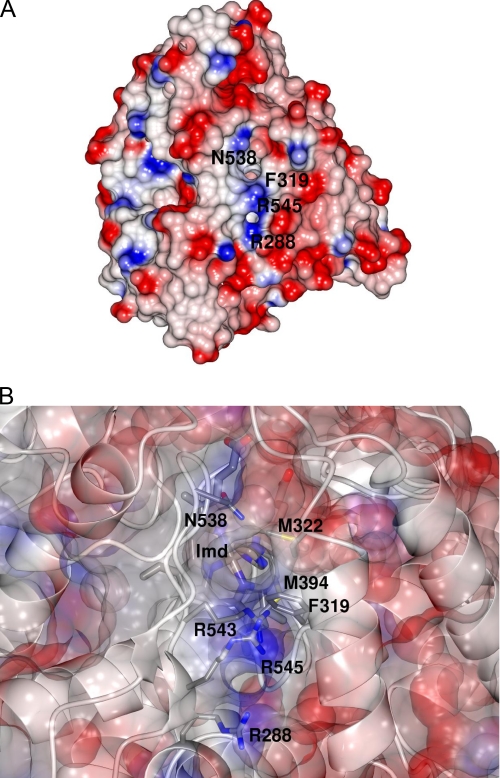 FIGURE 5.