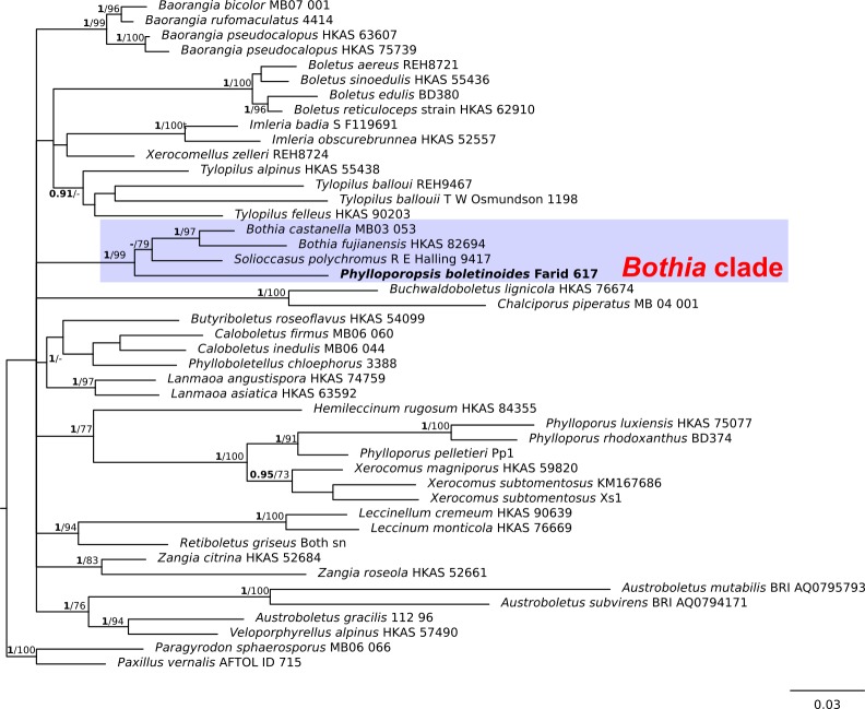 Fig. 2.