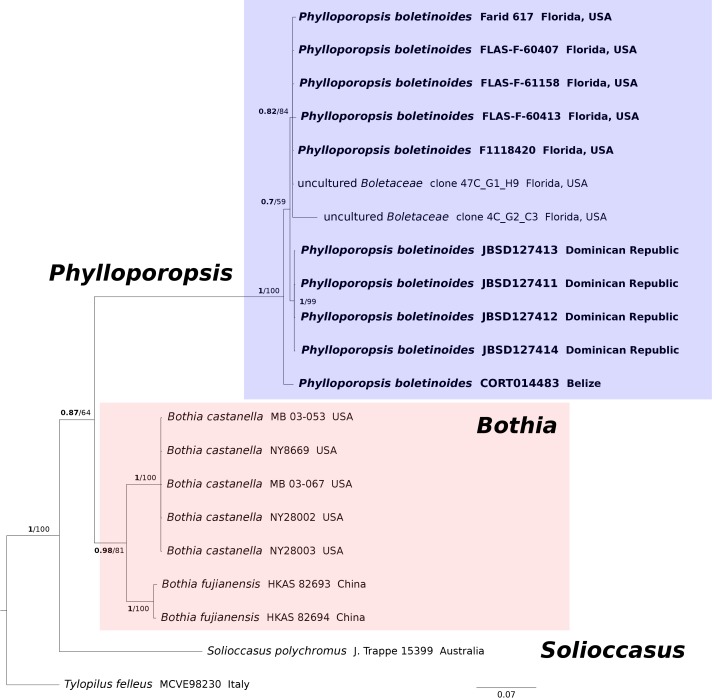 Fig. 3.