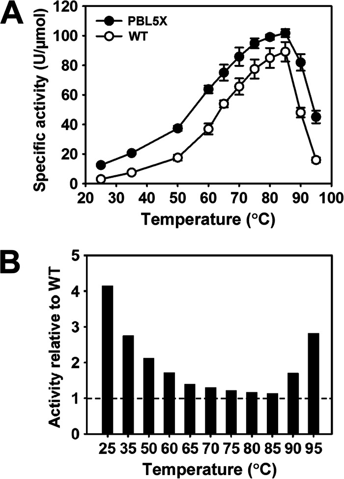 FIG 6