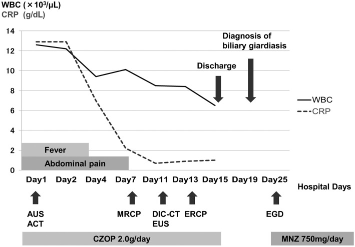 Figure 1.