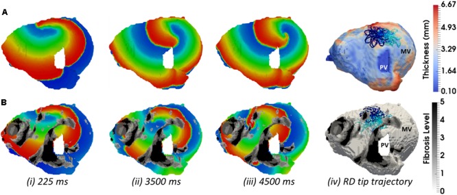 FIGURE 9