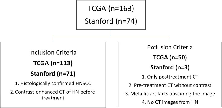 Consort diagram demonstrates inclusion and exclusion criteria from The Cancer Genome Atlas (TCGA) cohort and test cohort. HN = head and neck, HNSCC = head and neck squamous cell carcinoma.