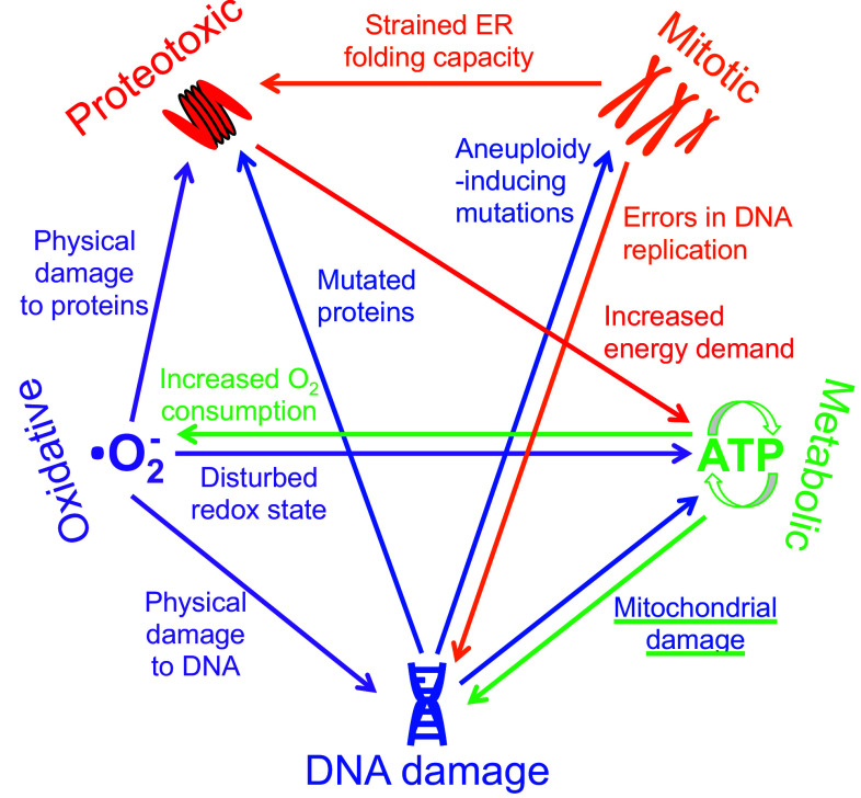 Fig. 2