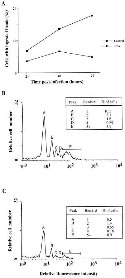 FIG. 5