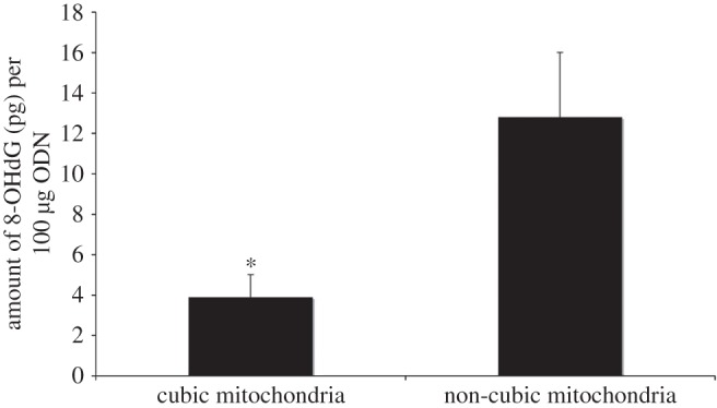 Figure 2.