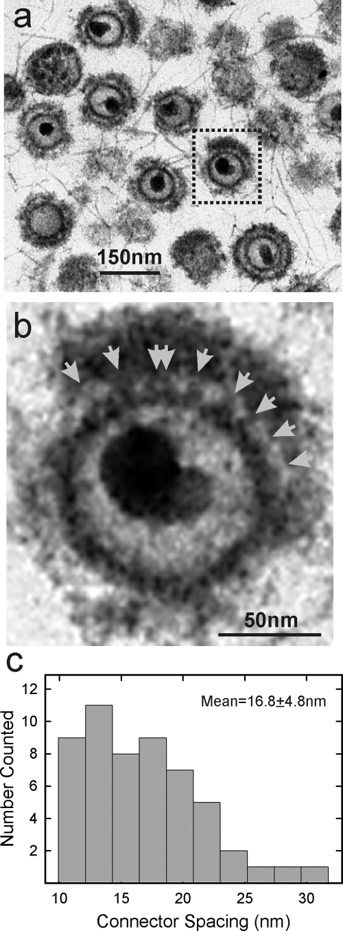 FIG. 5.