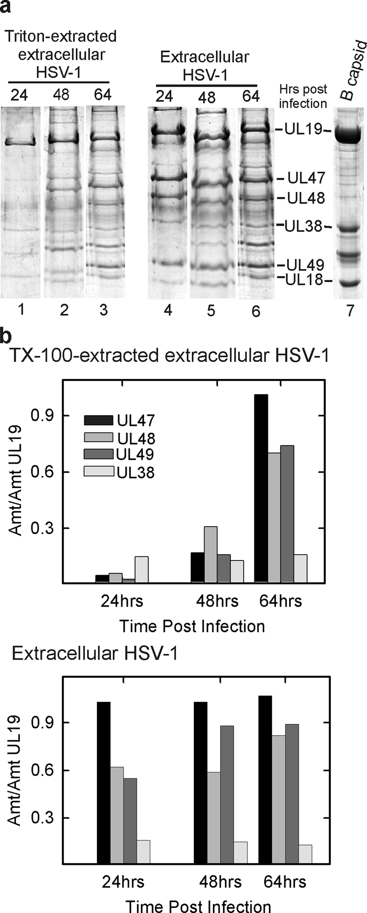 FIG. 7.