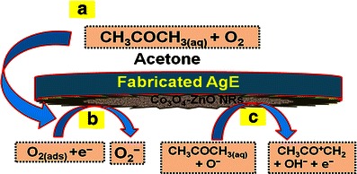 Scheme 2