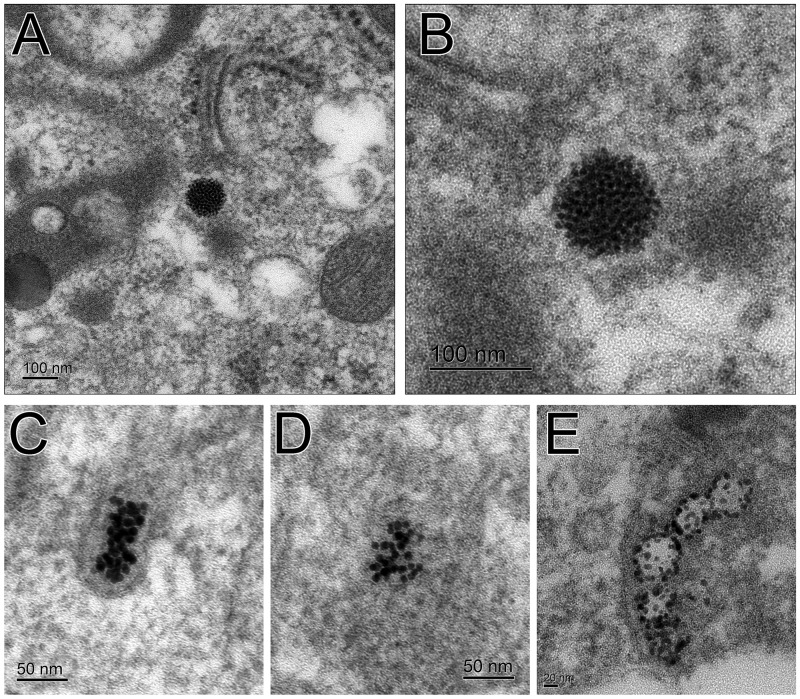 FIG. 9.