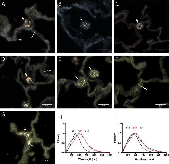 FIG. 8.