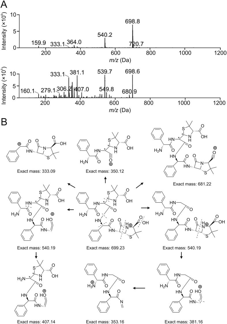 Fig. 10