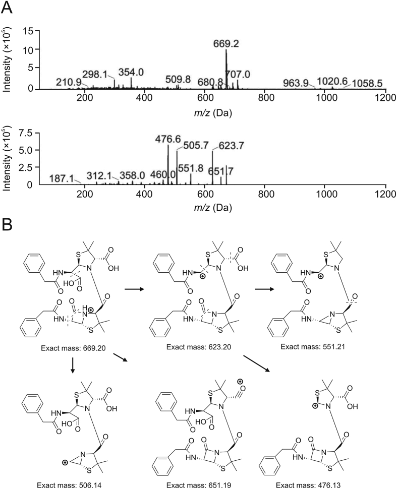 Fig. 6