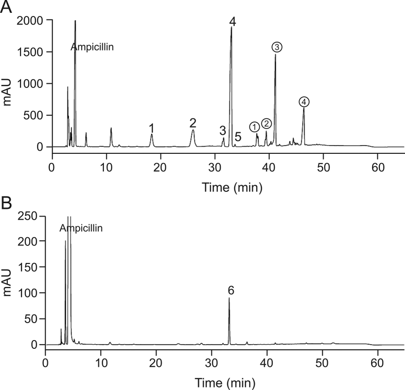 Fig. 9