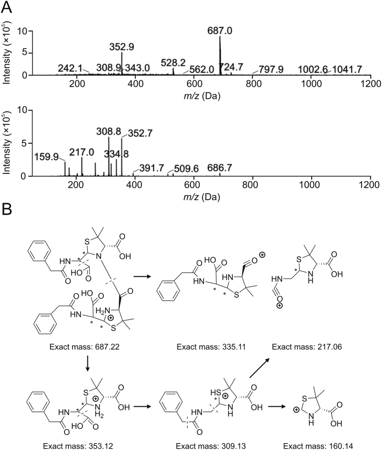 Fig. 8