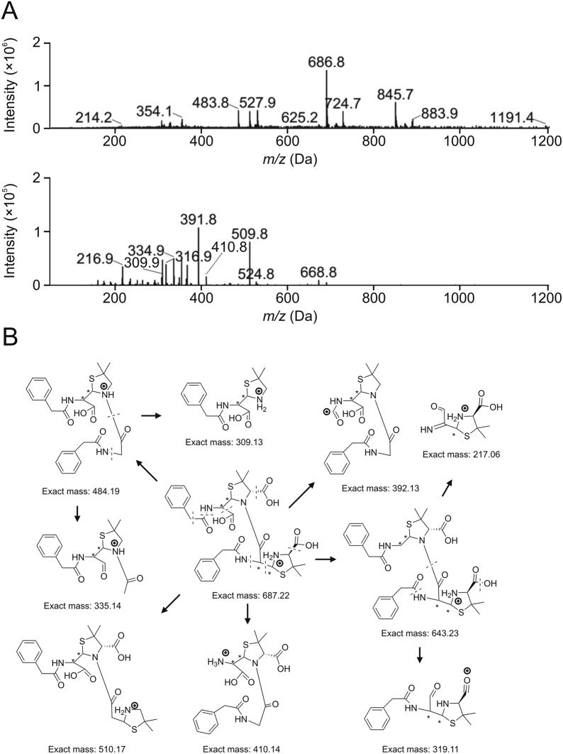 Fig. 7