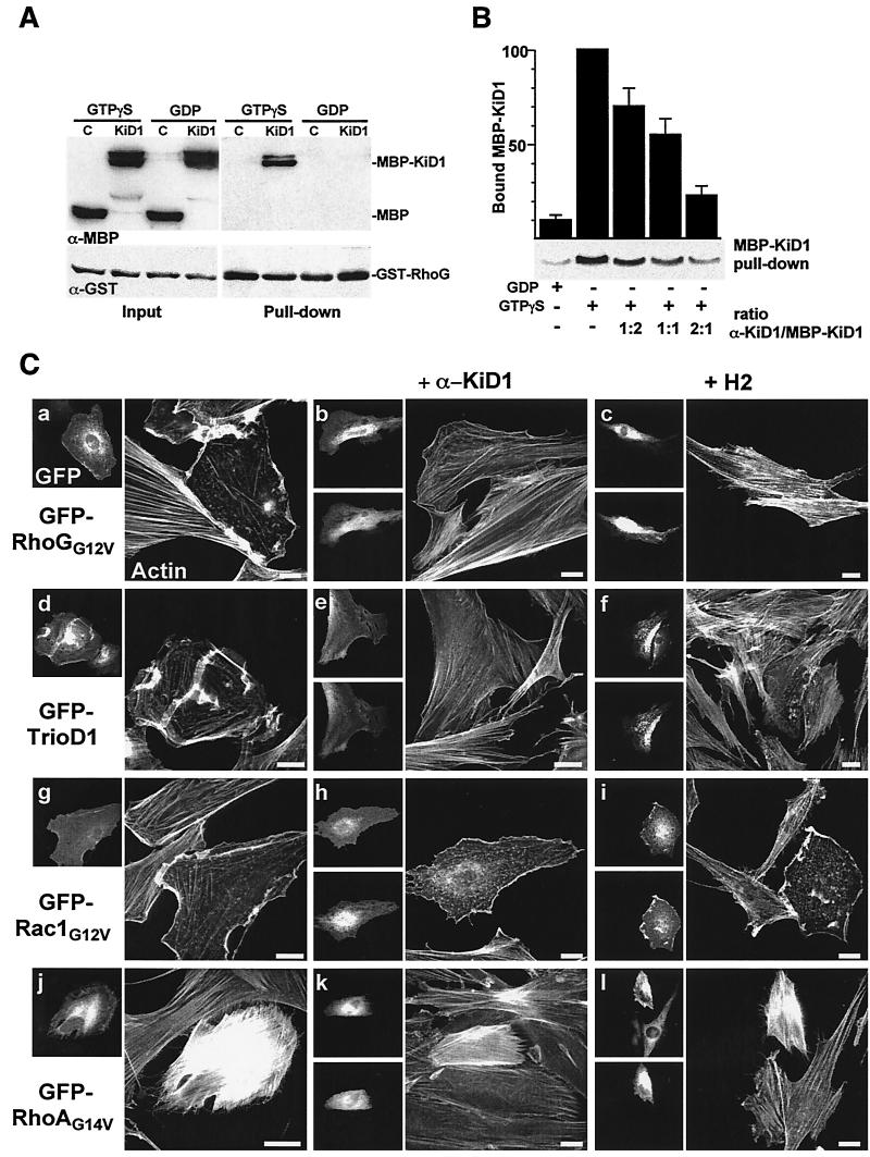 FIG. 5