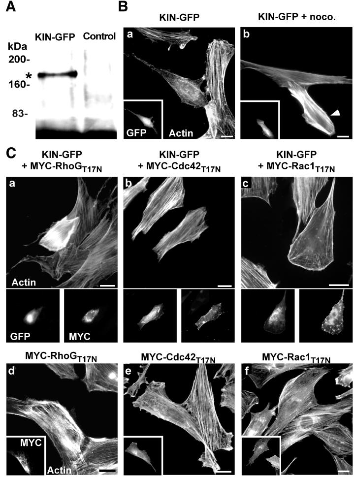 FIG. 6