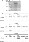 FIG. 6.