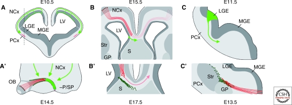 Figure 5.