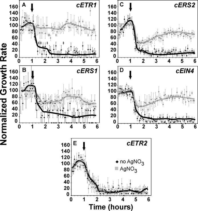 FIGURE 5.