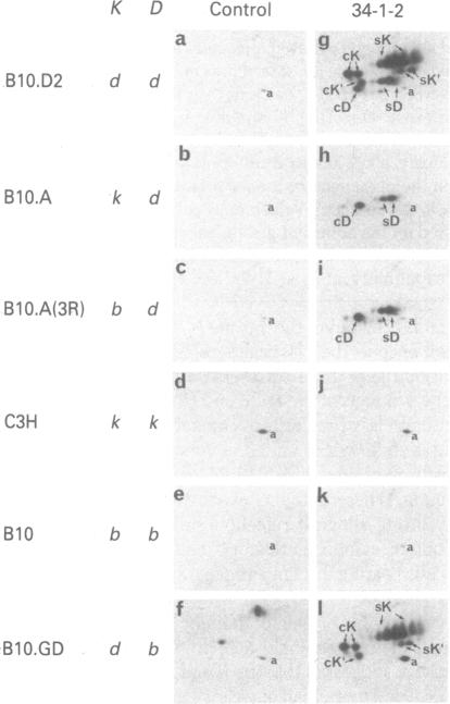 graphic file with name pnas00631-0295-a.jpg