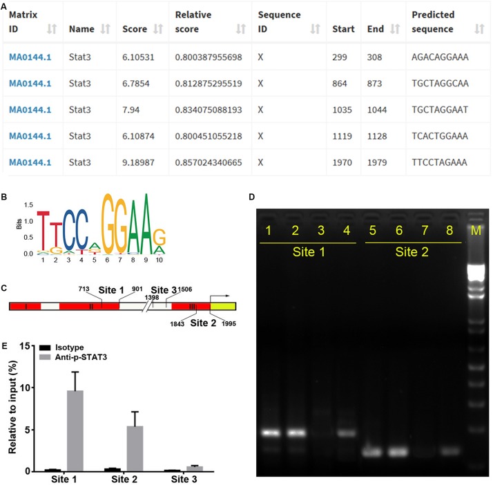 FIGURE 3