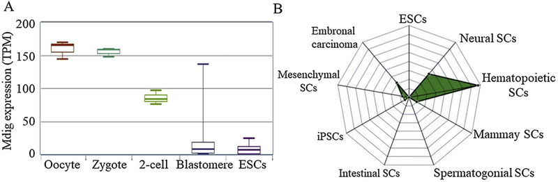 Fig. 8.