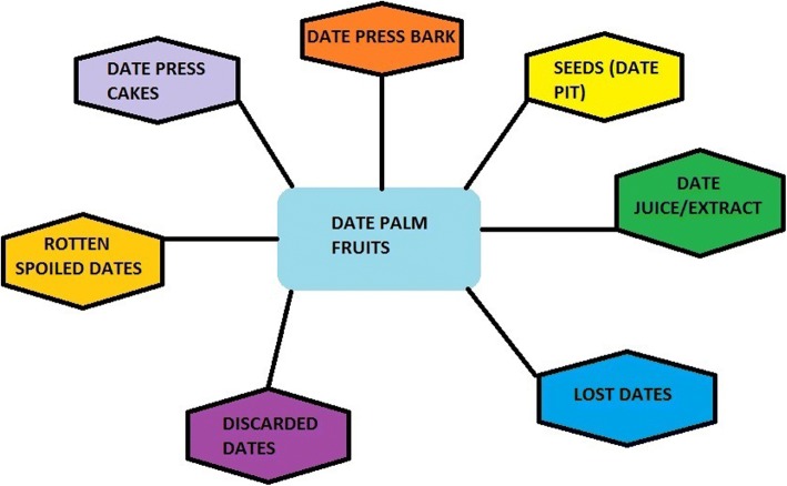 Fig. 4