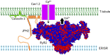FIGURE 14.
