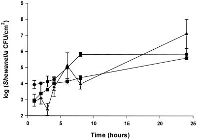 FIG. 4