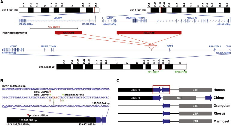 Figure 4