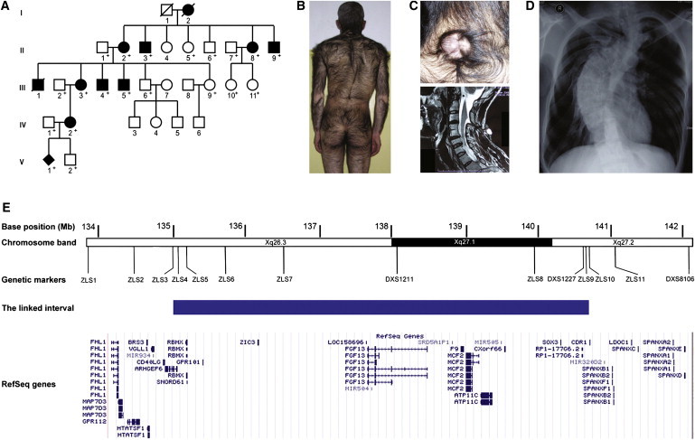 Figure 1