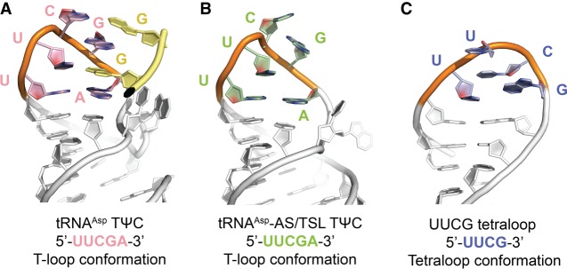 FIGURE 5.